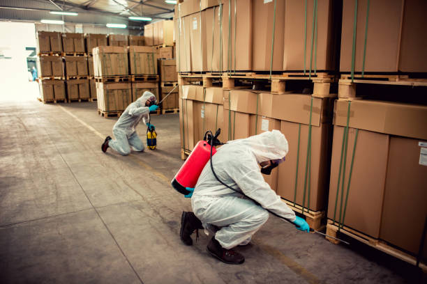 Best Best Pest Control Companies  in Frenchtown, NJ