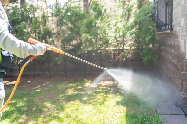 Best Pest Removal Services  in Frenchtown, NJ