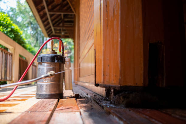 Best Rat Extermination Near Me  in Frenchtown, NJ