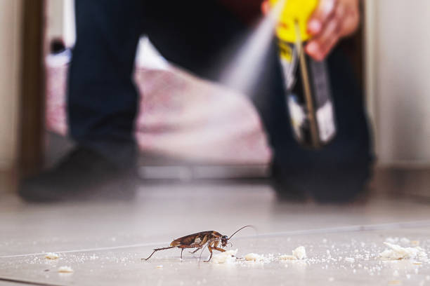 Best Pest Prevention Services  in Frenchtown, NJ