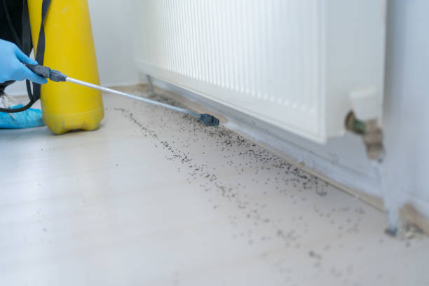 Best Best Pest Control Companies  in Frenchtown, NJ
