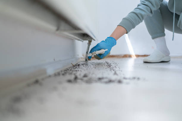Best Insect Control  in Frenchtown, NJ